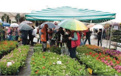 Mostra mercato dell’agricoltura “Maggio a Cles”