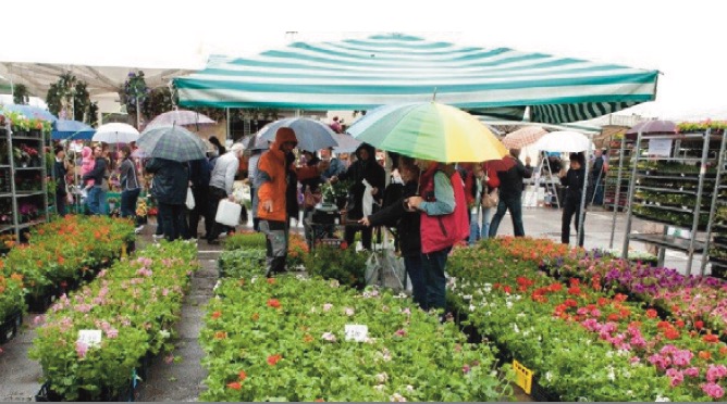 Mostra mercato dell’agricoltura “Maggio a Cles”